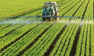 农业植保爆料短视频素材,作物病虫害防治技巧大公开 第2张 农业植保爆料短视频素材,作物病虫害防治技巧大公开 第2张